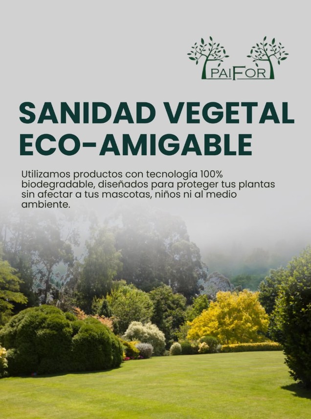 Cotización de servicios PAIFOR