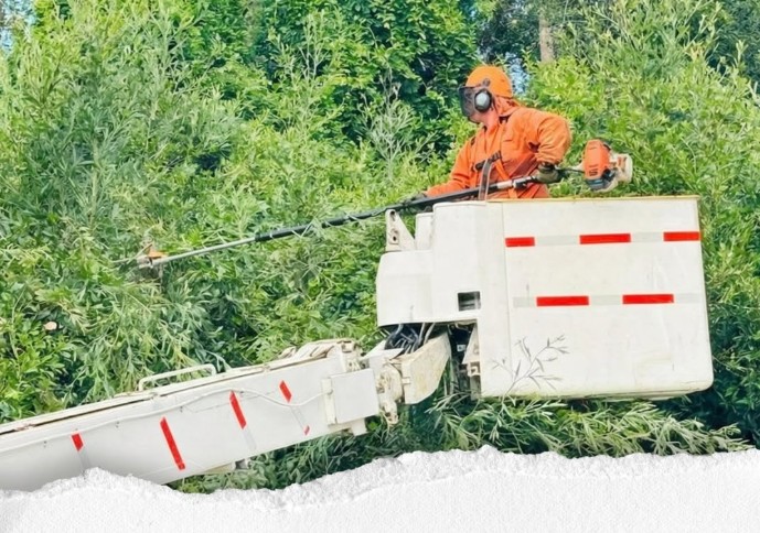 Mantención profesional